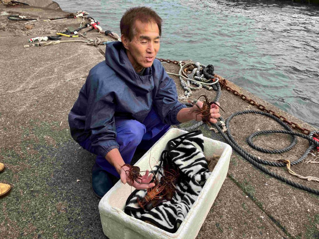 伊勢海老の稚魚放流