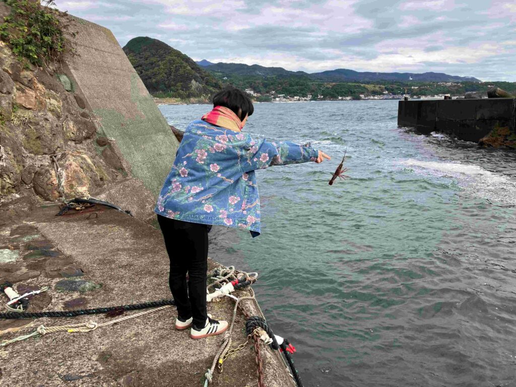 伊勢海老の稚魚放流