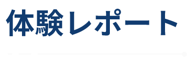 体験のレポート